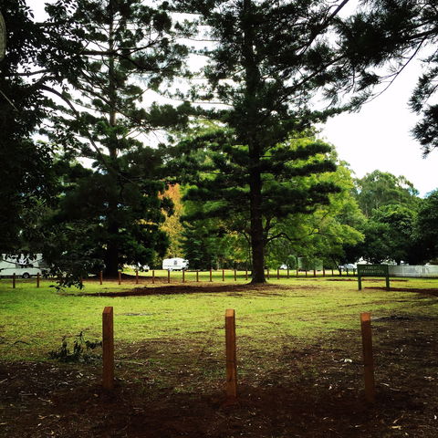 Coopernook Forest HQ - Accommodation BNB 2