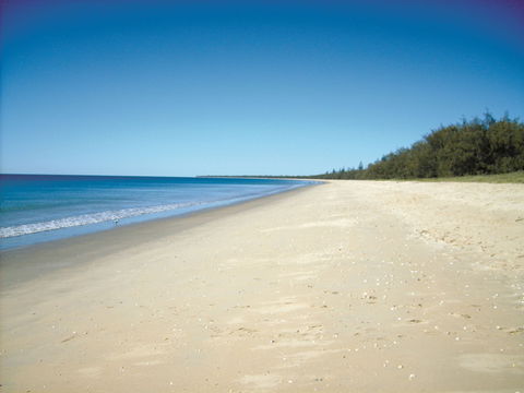 Coral Coast Pathways (Woodgate Beach Section) - Accommodation BNB 0
