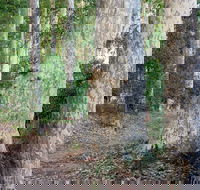 Delta Track - Accommodation BNB