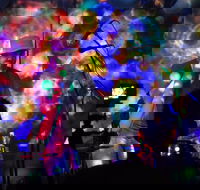 Didgeridoo Festivals - Accommodation BNB