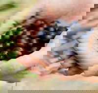 Eat Pick Grow Trail - Wanneroo and Chittering - Accommodation BNB