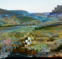 Farm Flavour Trail Chittering Valley - Accommodation BNB