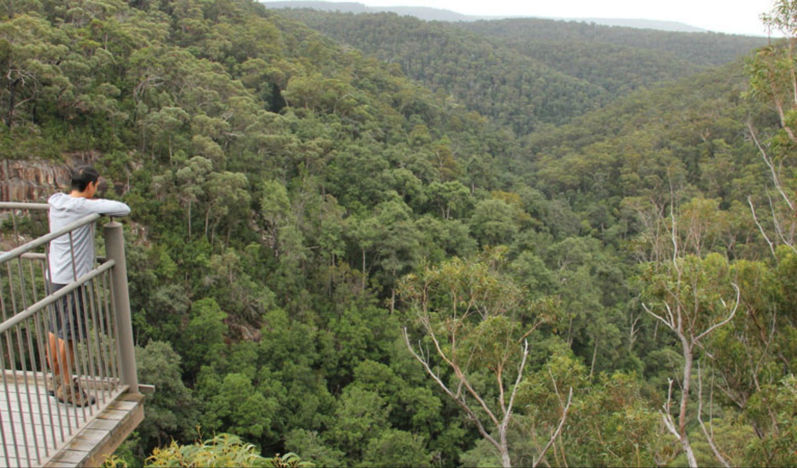 Twelve Mile Peg NSW Accommodation BNB