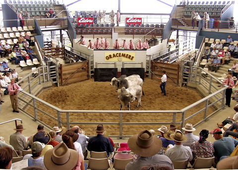 Gracemere Exhibition Complex - Accommodation BNB 1
