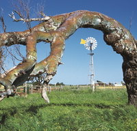 Greenough Leaning Trees - Accommodation BNB