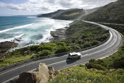 Great Ocean Road - Accommodation BNB 0