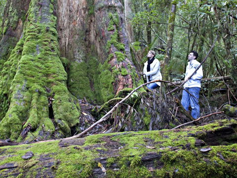 Hastings Caves And Thermal Springs - Accommodation BNB 2