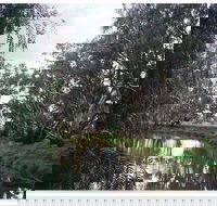 Henty Government Dam Nature Reserve - Accommodation BNB