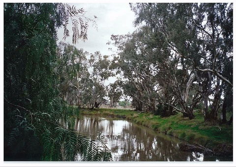 Henty Government Dam Nature Reserve - Accommodation BNB 0