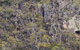 Horsnell Gully And Giles Conservation Parks - thumb 0