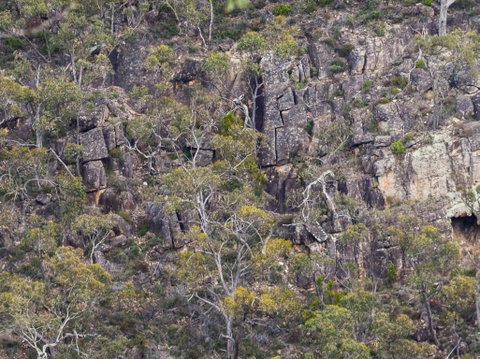 Horsnell Gully And Giles Conservation Parks - Accommodation BNB 0