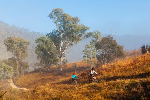 Kambah Pool To Pine Island Walking Trail - Accommodation BNB 0