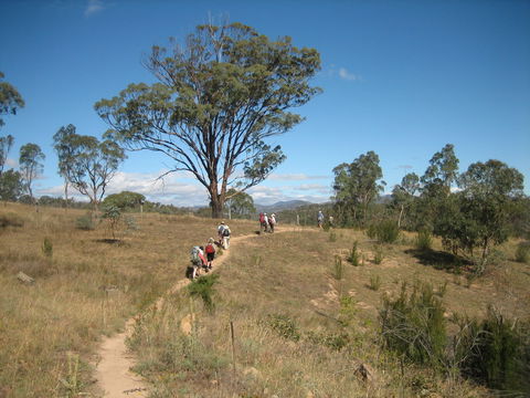 Kambah Pool To Pine Island Walking Trail - Accommodation BNB 1