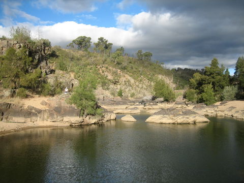 Kambah Pool To Pine Island Walking Trail - Accommodation BNB 2