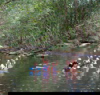 Kerewong State Forest - Accommodation BNB
