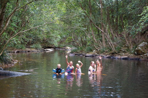 Kerewong State Forest - Accommodation BNB 0