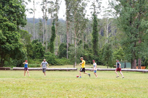 Kerewong State Forest - Accommodation BNB 1