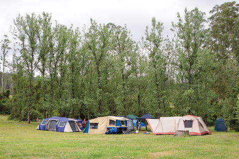 Kerewong State Forest - Accommodation BNB 2