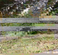 Nimmitabel Heritage Walk - Accommodation BNB