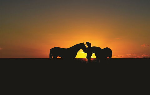 Outback Pony Rides Farm Experience - Accommodation BNB 0