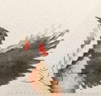 Pebbles and Pods - Accommodation BNB