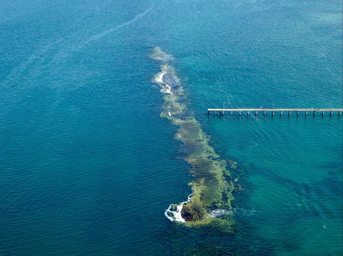 Port Noarlunga Reef Sanctuary Zone - Encounter Marine Park - Accommodation BNB 0