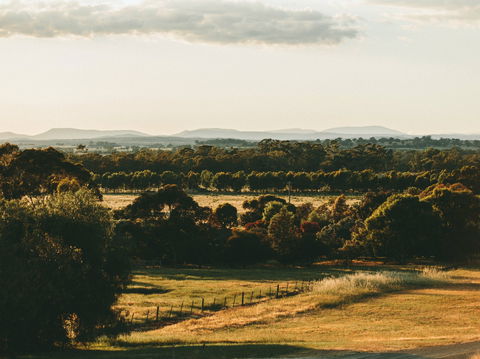 Rutherglen Wine Bottle - Accommodation BNB 2