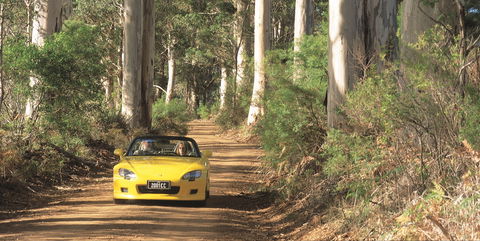Scotsdale Tourist Drive - Accommodation BNB 0