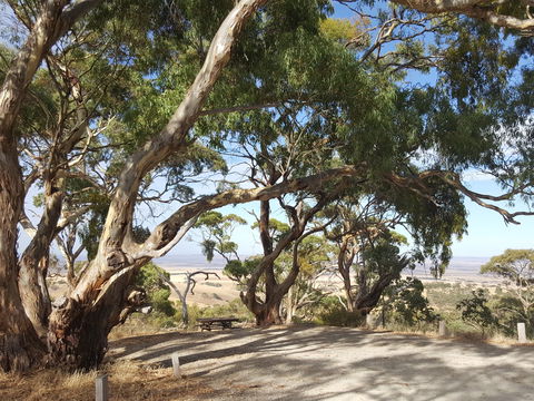 Spring Gully Conservation Park - Accommodation BNB 0