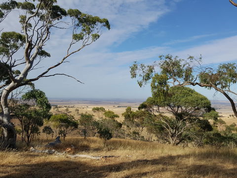 Spring Gully Conservation Park - Accommodation BNB 1