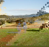 Tamworth and Kootingal Horse Riding Adventures - Accommodation BNB