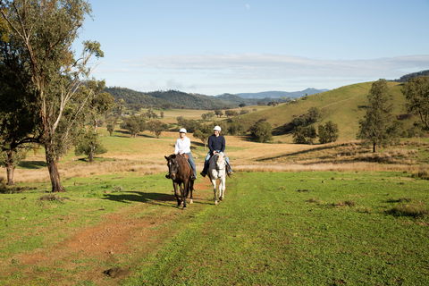 Tamworth And Kootingal Horse Riding Adventures - Accommodation BNB 0