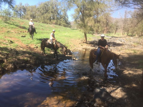 Tamworth And Kootingal Horse Riding Adventures - Accommodation BNB 2