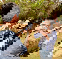 Taranna - Accommodation BNB