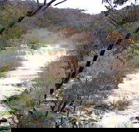 The Falls Water Falls - Accommodation BNB