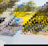 The Heron's Highway - Avon River Cycle Trail - Accommodation BNB