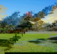 Tunks Hill picnic area - Accommodation BNB