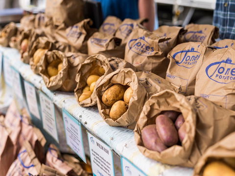 Warragul Farmers Market - Accommodation BNB 2