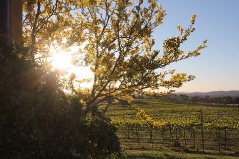 Wine Trail: Queanbeyan-Palerang - Accommodation BNB 1