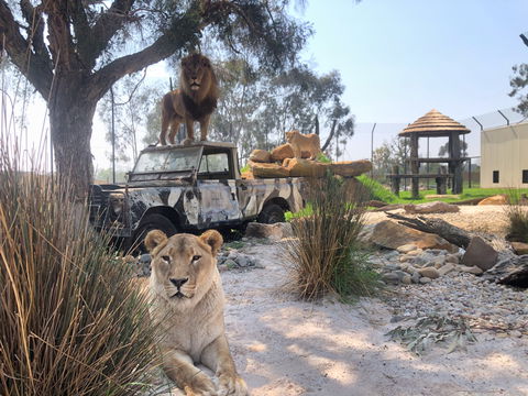 Zambi Wildlife Retreat - Accommodation BNB 0