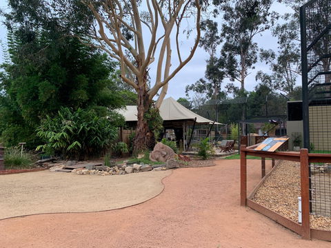 Zambi Wildlife Retreat - Accommodation BNB 2
