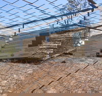 Aboriginal Carvings - Accommodation BNB