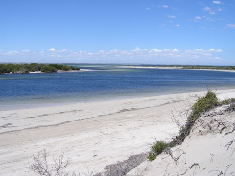 Acraman Creek Conservation Park - Accommodation BNB 0