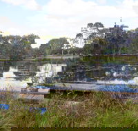 Baldwin Swamp Environmental Park - Accommodation BNB