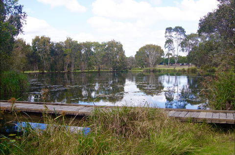 Baldwin Swamp Environmental Park - Accommodation BNB 0