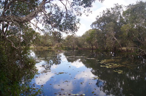 Baldwin Swamp Environmental Park - Accommodation BNB 2