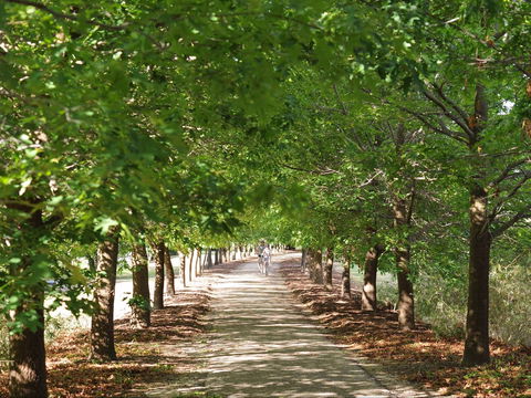 Beechworth To Everton Station 16km - Accommodation BNB 1