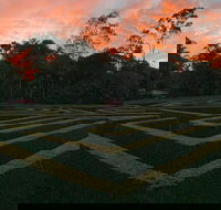 Bellingham Maze - Accommodation BNB