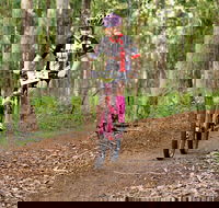 Bom Bom State Forest Mountain Bike Trails - Accommodation BNB