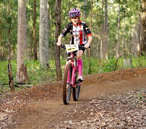 Bom Bom State Forest Mountain Bike Trails - Accommodation BNB 0
